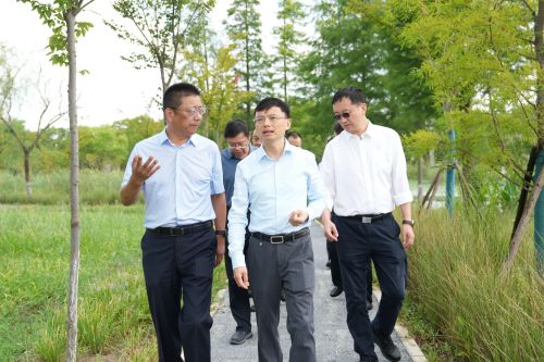 20240816142429037444.jpg 打造碧水长清、绿意葱茏的美好家园!缪京带队开展巡河巡林2.jpg