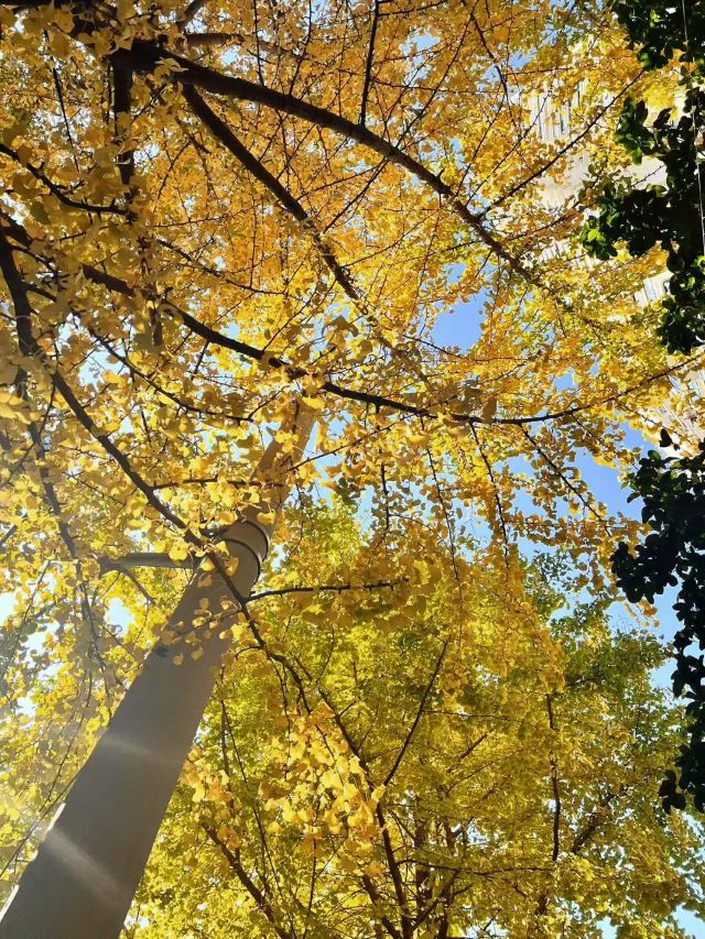 1204_104746_393.jpg 6.jpg