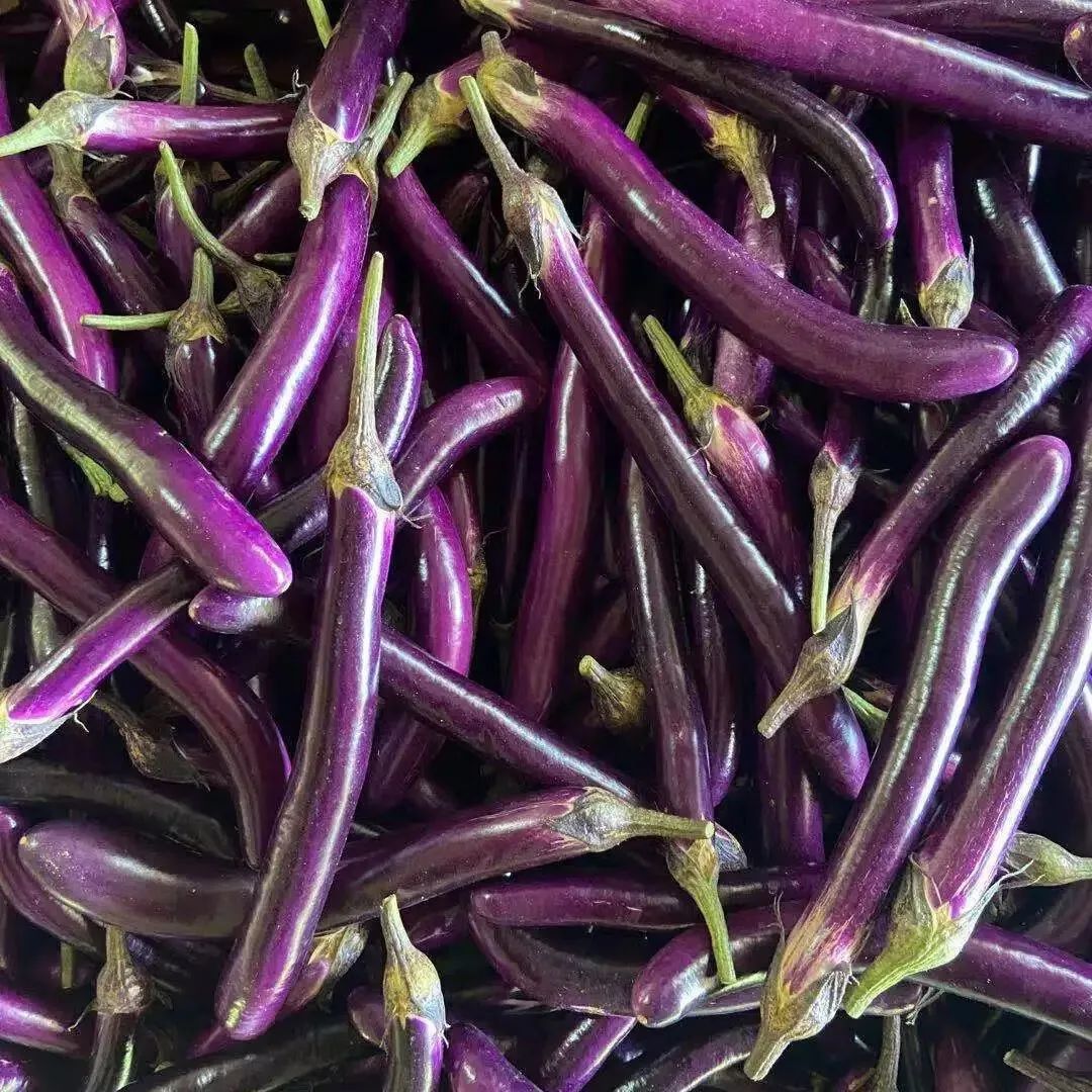 640 (11).jpg 640 (11).jpg