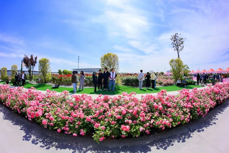 五一活动集:青浦区五一活动菜单(2025年4月29日-5月5日) 五一活动集:青浦区五一活动菜单(2025年4月29日-5月5日)