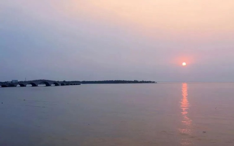 追风少年的春日漫游指南,带你邂逅青浦的N种风情! 追风少年的春日漫游指南,带你邂逅青浦的N种风情!