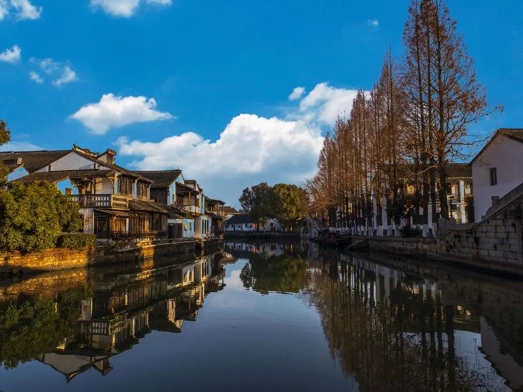 快高铁·慢生活｜开通啦！青浦上榜长三角“四季主题榜单”和十大主题线路！