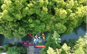 报名，2025年青浦区元旦迎新徒步活动，走起来！