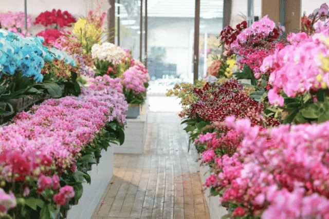 会·聚青浦|吃喝玩乐宿“一站式”玩转进博会!青浦为你配齐了~ 会·聚青浦|吃喝玩乐宿“一站式”玩转进博会!青浦为你配齐了~