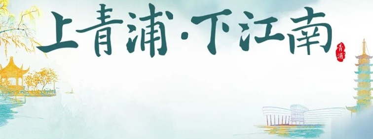 农文旅商体展资讯：青浦区2025年11月活动速览