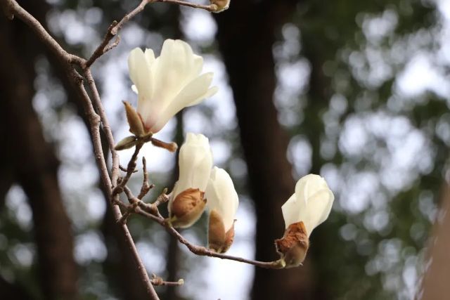 0307_144550_522.jpg 微信图片_2025-03-07_103647_055.jpg