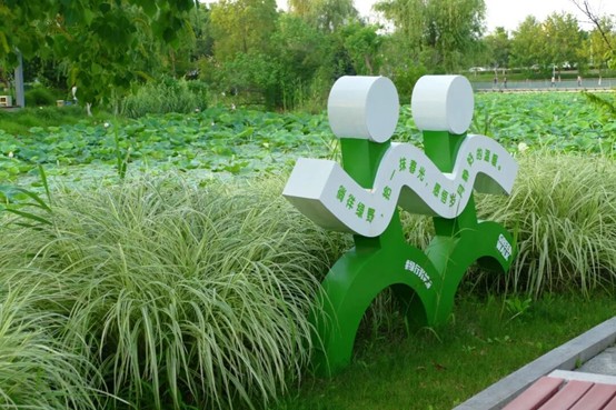 2026逛青浦环城水系公园指南