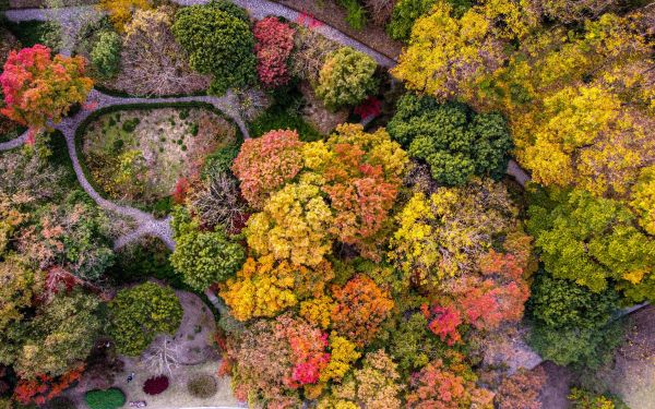 DJI_0015.jpg DJI_0015.jpg