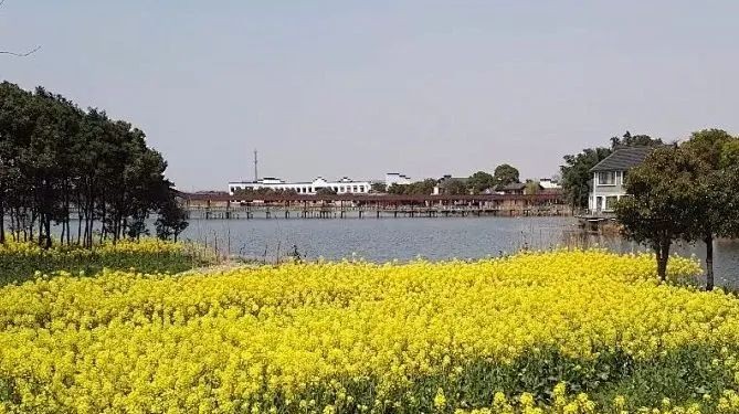 青浦体育：2025年长三角国际铁人三项赛倒计时