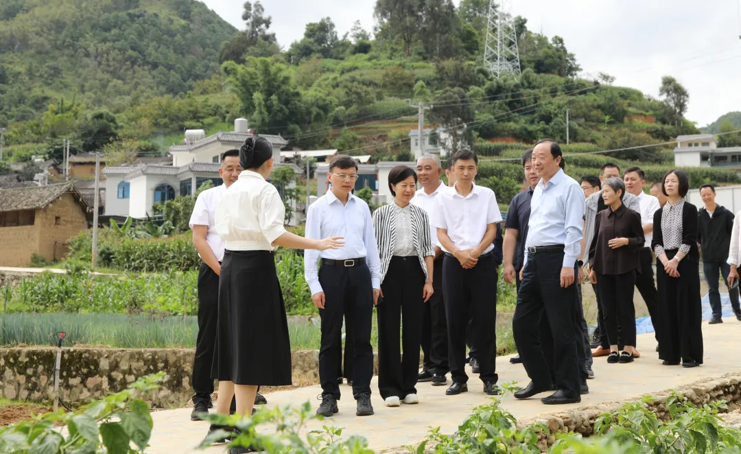 20240913100553077774.jpg 20240913100553077774.jpg