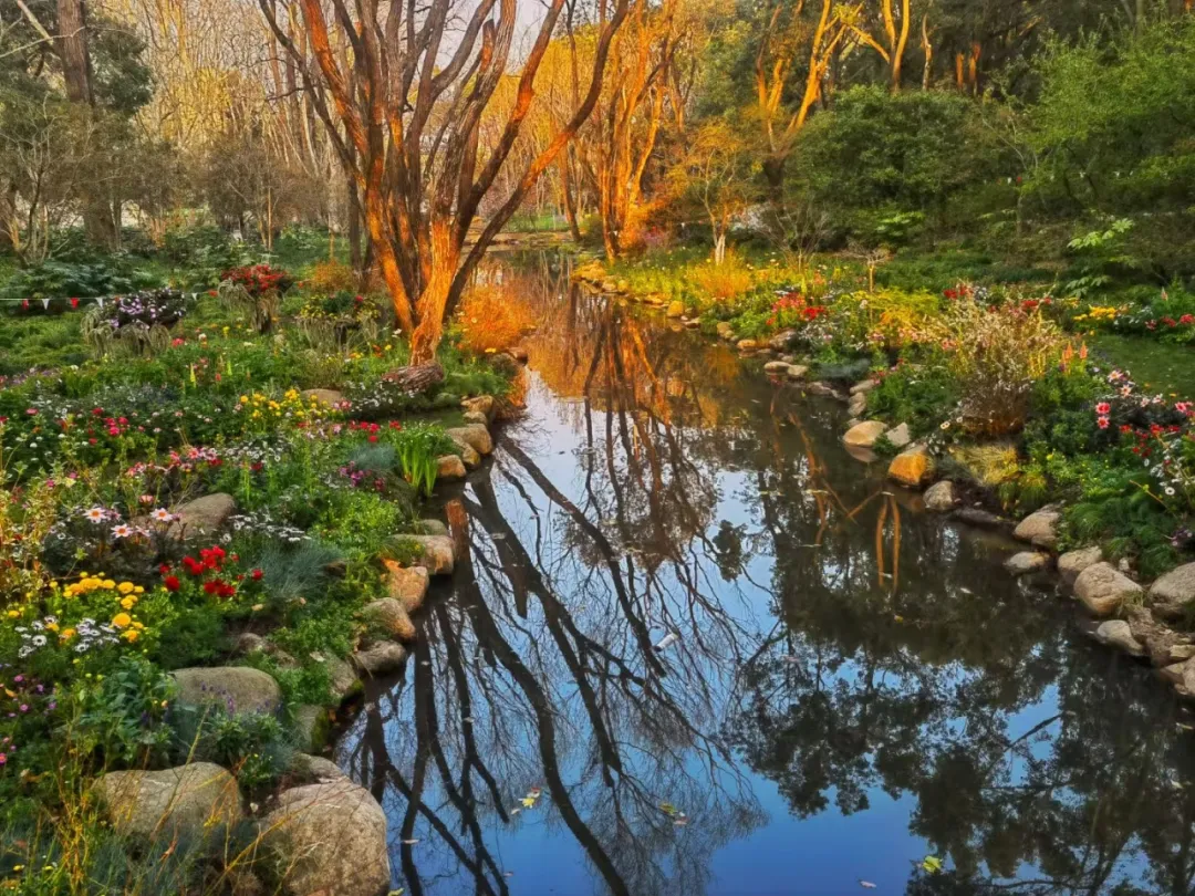 图片 1.png 图片 1.png