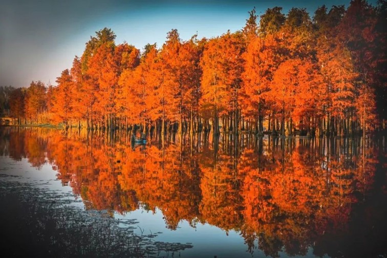 跟着半马游青浦｜收藏！带你玩转线路周边吃喝玩乐全攻略！