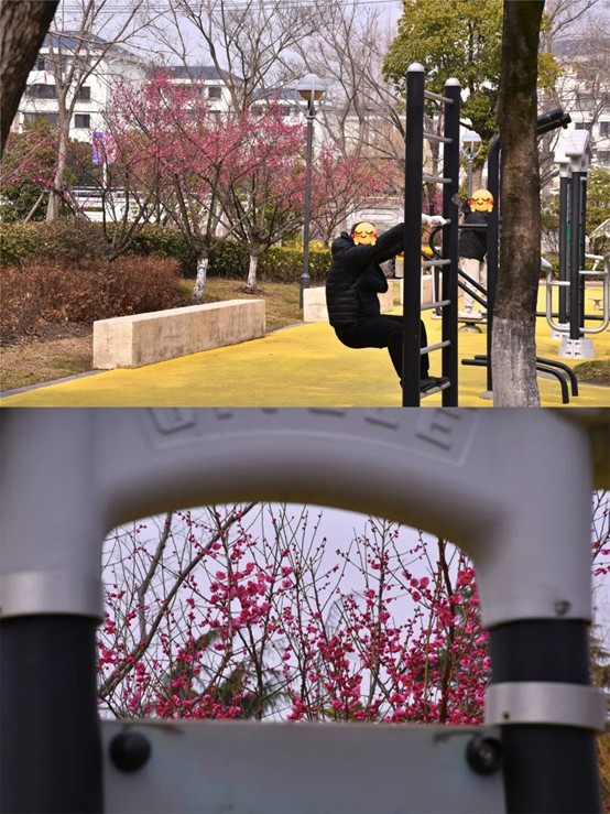 2026逛青浦环城水系公园指南