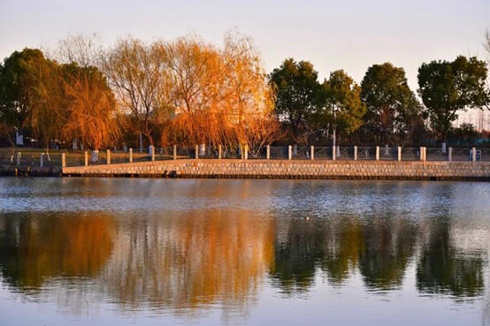 2026逛青浦环城水系公园指南