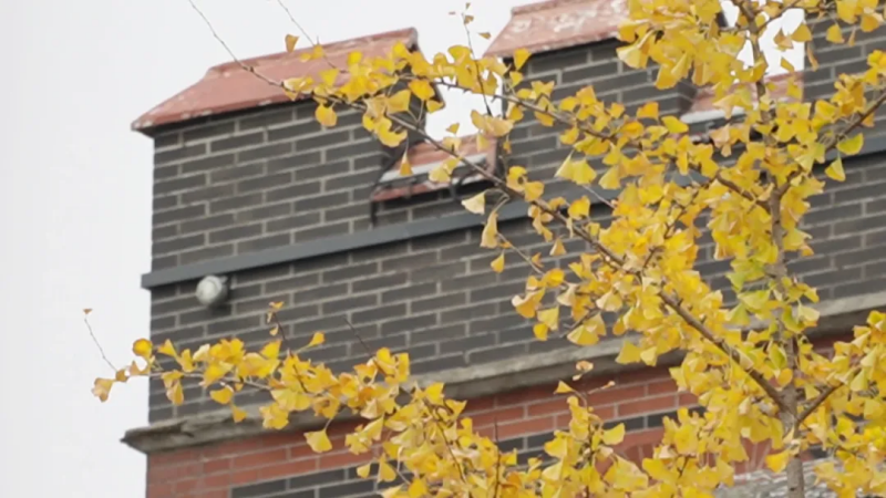 图片 5.png 图片 5.png