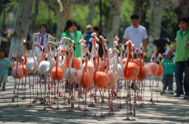 640 (2).png 640 (2).png