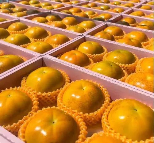 会·聚青浦|这篇超好逛的青浦购物图鉴,一定是“购物星人”的最爱! 会·聚青浦|这篇超好逛的青浦购物图鉴,一定是“购物星人”的最爱!