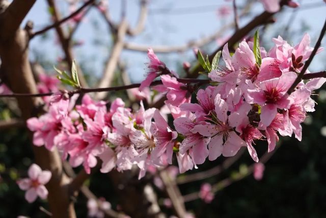 0307_144656_854.jpg 微信图片_2025-03-07_103653_536.jpg