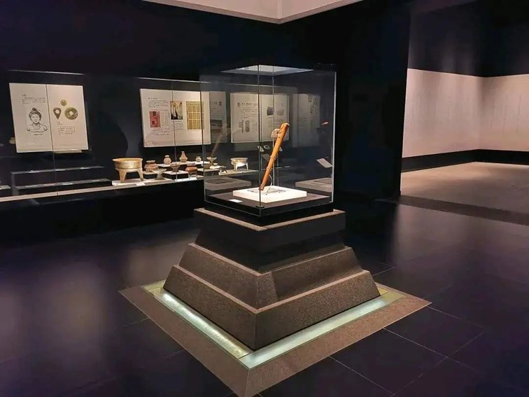 几度秋意,一眼江南,青浦这条水乡线路好有韵味! 几度秋意,一眼江南,青浦这条水乡线路好有韵味!