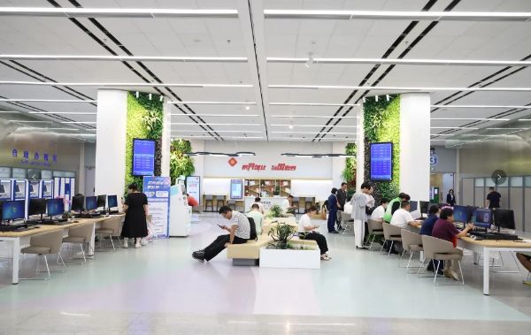 0826_153655534_587.jpg 20240826_153556_003.jpg