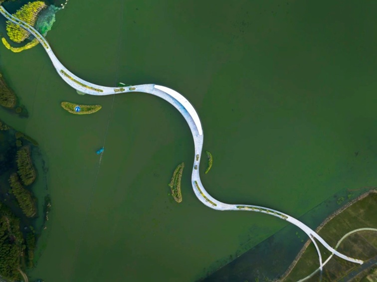 追风少年的春日漫游指南,带你邂逅青浦的N种风情! 追风少年的春日漫游指南,带你邂逅青浦的N种风情!