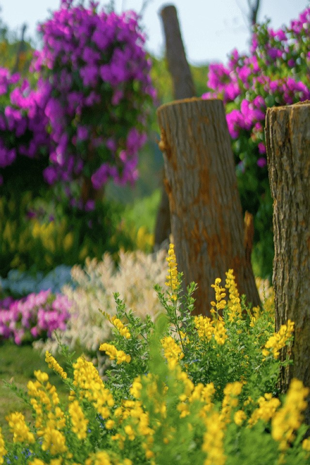 会·聚青浦|这条既City又Country的旅“行”,才是当代人的最爱! 会·聚青浦|这条既City又Country的旅“行”,才是当代人的最爱!