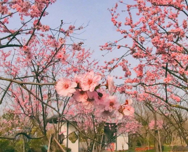 图片19.jpg 图片19.jpg