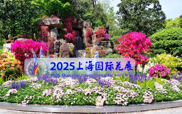 DSC04280.jpg DSC04280.jpg