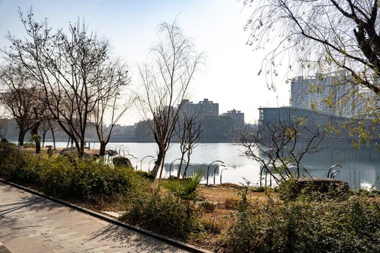 青浦河长:城中美湖,静谧安然 青浦河长:城中美湖,静谧安然