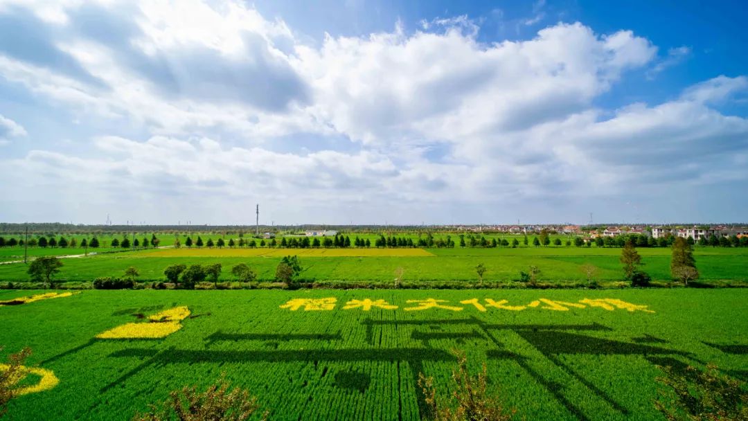 生动演绎绿水青山就是金山银山的崇明案例 .jpeg 生动演绎绿水青山就是金山银山的崇明案例 .jpeg