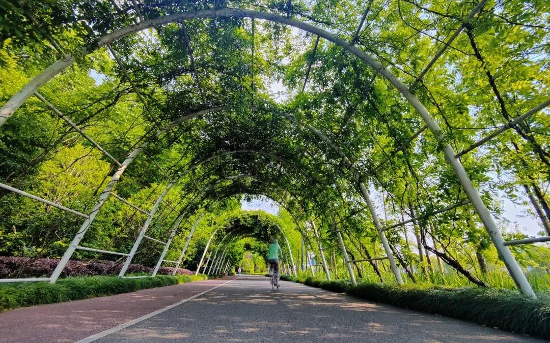 微信图片_20220815155430.jpg 微信图片_20220815155430.jpg