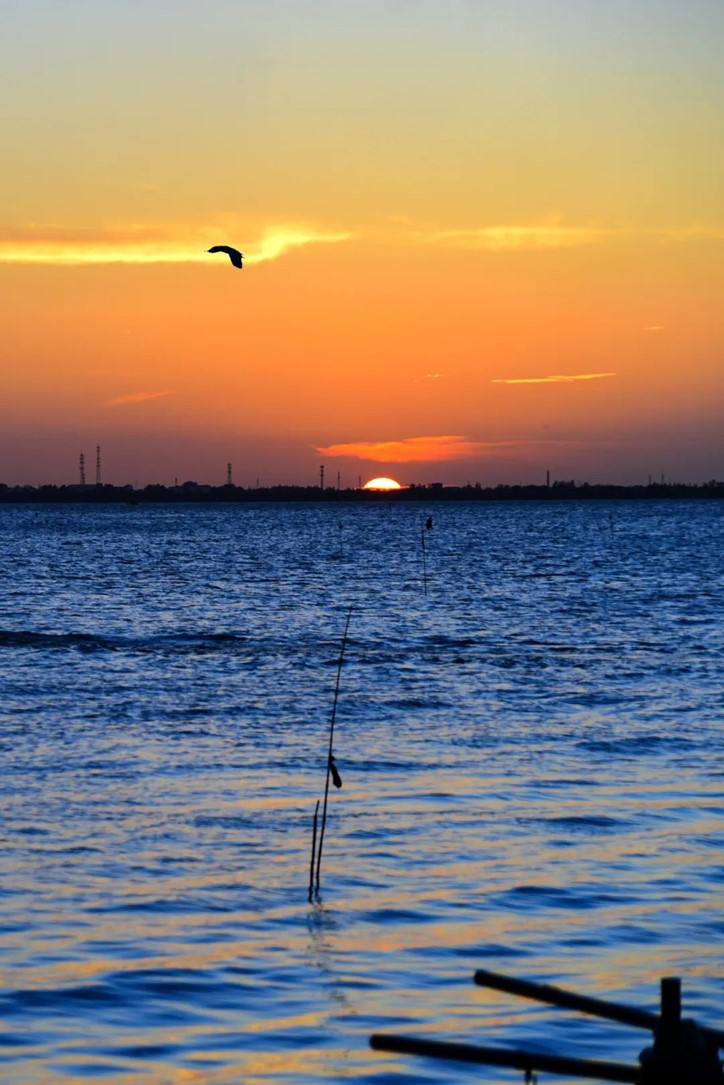 会·聚青浦|入住颜值与舒适并存的青浦民宿,隐逸乡野,静享秋欢! 会·聚青浦|入住颜值与舒适并存的青浦民宿,隐逸乡野,静享秋欢!