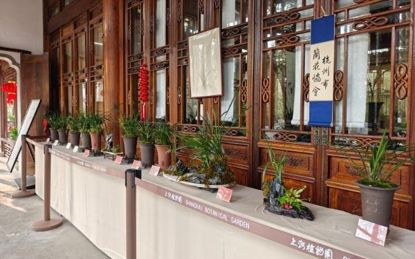 微信图片_20250227172426.jpg 微信图片_20250227172426.jpg