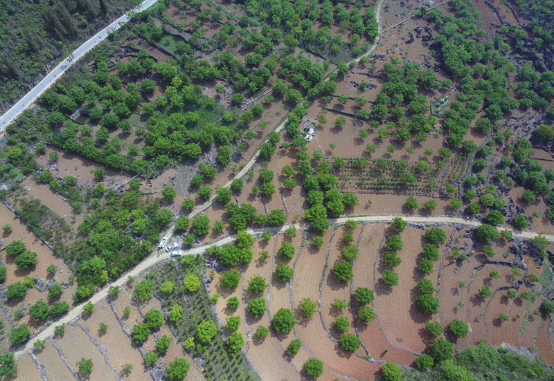 这是云南西畴县蚌谷乡木者村的果园（2019年4月17日摄，无人机照片）。.jpg