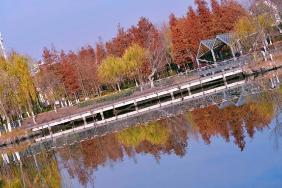 2026逛青浦环城水系公园指南