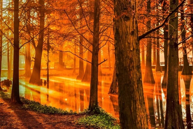 “宿主”您好，请领取主线任务：寻找青浦红叶地图！