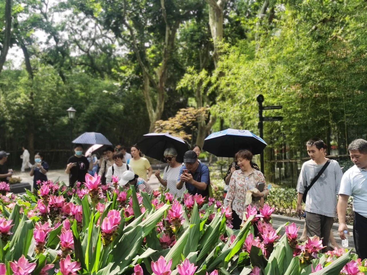 即将开放的长宁市民园艺中心迎来首批客人“探营”5.jpg 即将开放的长宁市民园艺中心迎来首批客人“探营”5.jpg