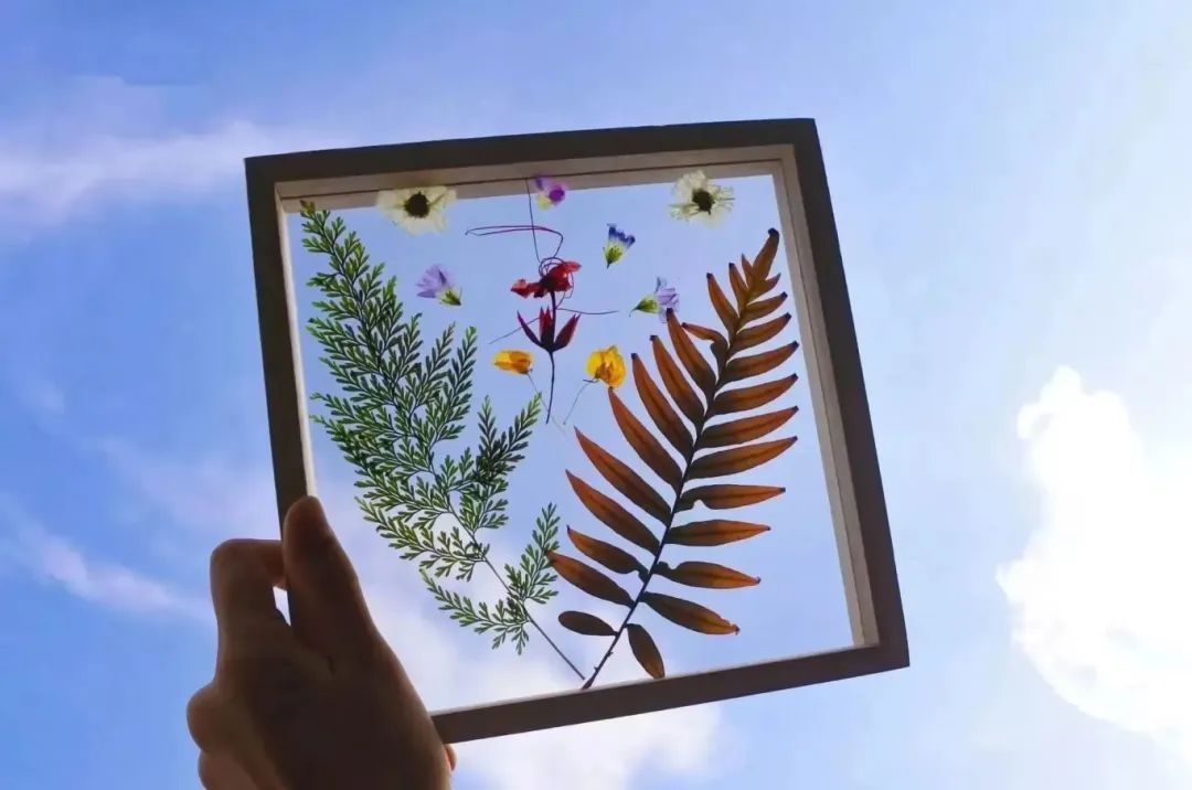 图片5.jpg 图片5.jpg