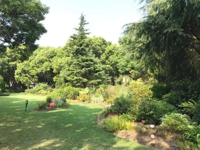 0525_094706_448.jpg 4.jpg