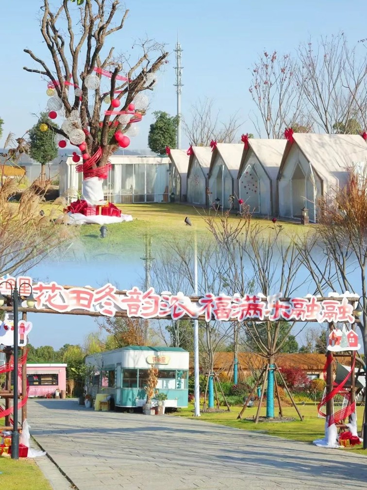 过大年·来青浦丨“蛇”我其谁~青浦近50场新春活动等你“过·来”玩！