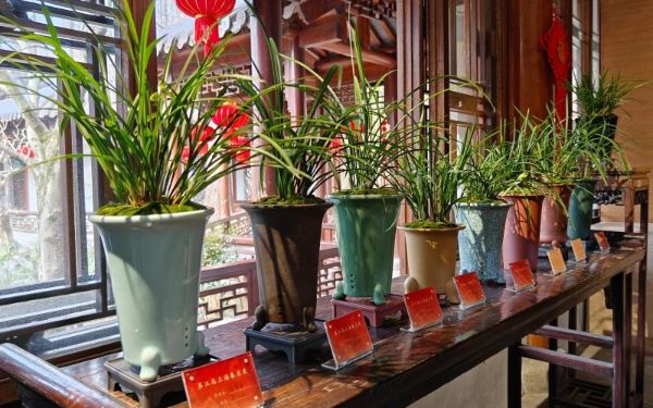 微信图片_20250227172257.jpg 微信图片_20250227172257.jpg