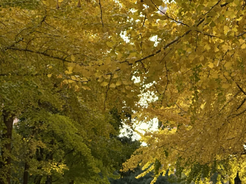 图片 1.png 图片 1.png