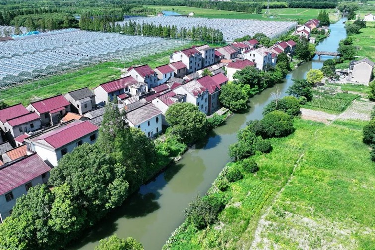 江南春景水一半，12处小流域绘青浦生态美域