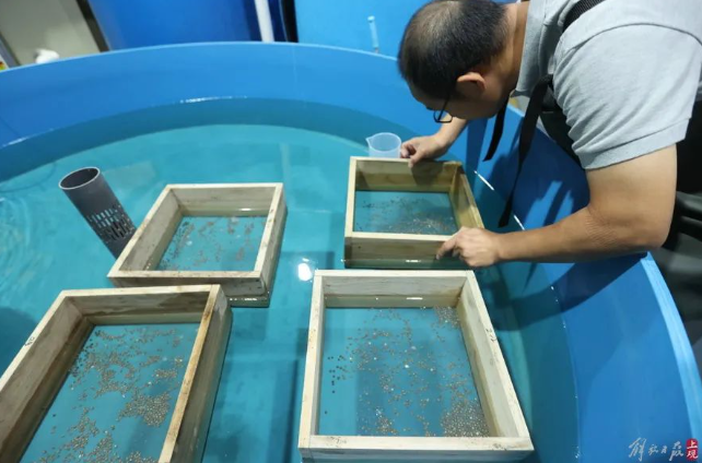 屏幕捕获_2024_10_10_09_26_52_167.png 屏幕捕获_2024_10_10_09_26_52_167.png