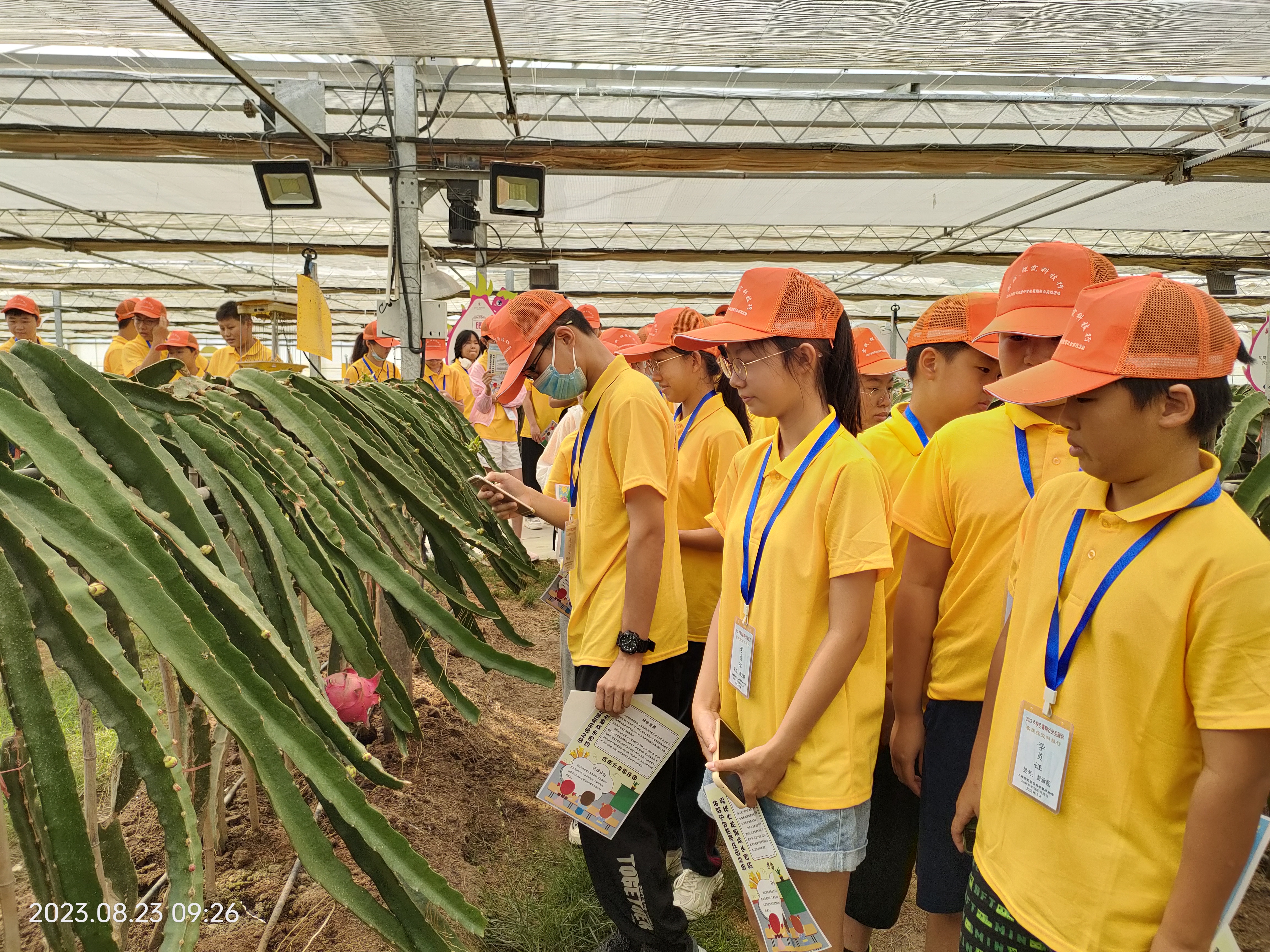 馆外活动-火龙果园.jpg 馆外活动-火龙果园.jpg