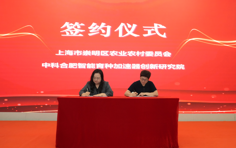 今天688.png 今天688.png