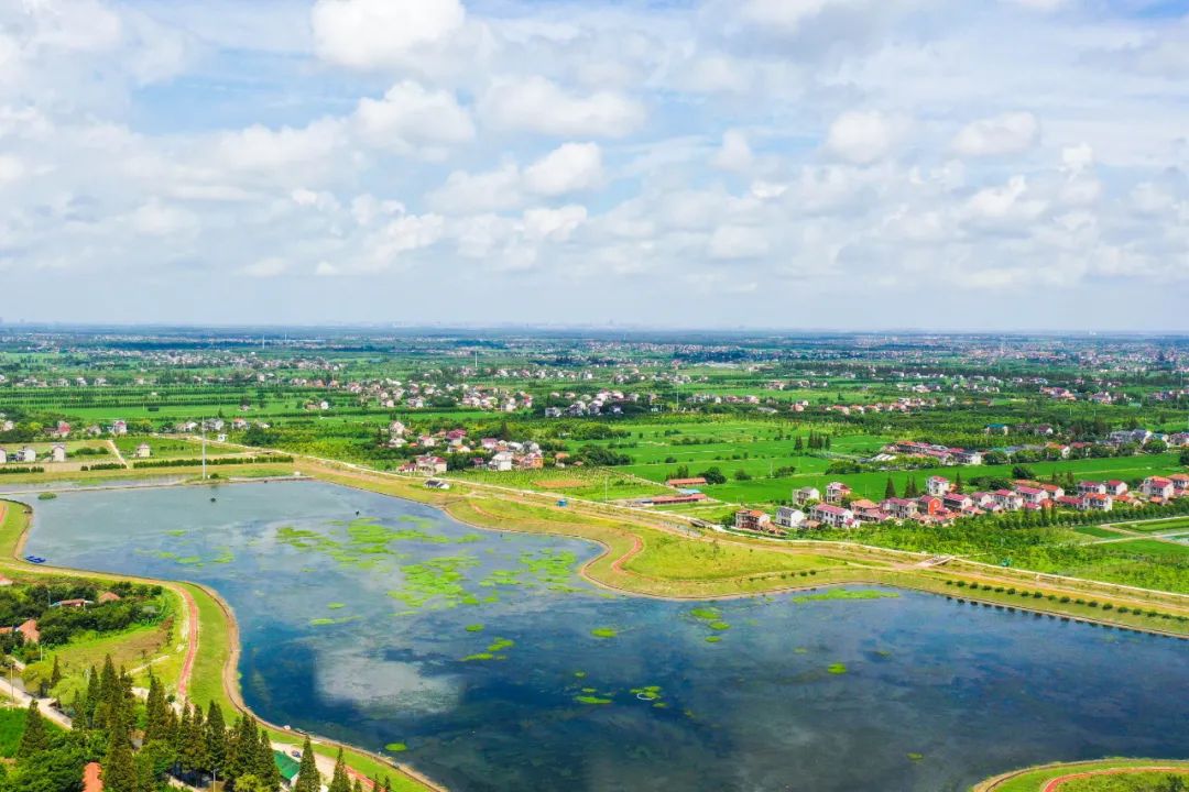 全力打造人与自然和谐共生的生态标杆 .jpeg 全力打造人与自然和谐共生的生态标杆 .jpeg