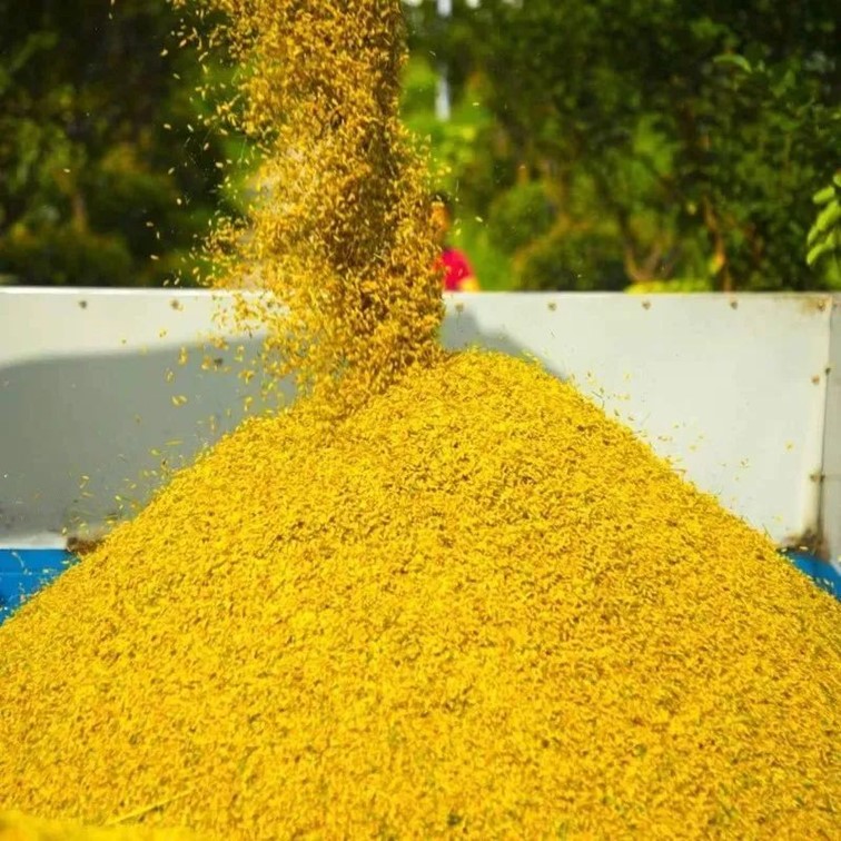 会·聚青浦|这篇超好逛的青浦购物图鉴,一定是“购物星人”的最爱! 会·聚青浦|这篇超好逛的青浦购物图鉴,一定是“购物星人”的最爱!