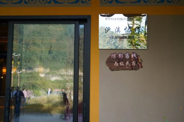 1031_134750275_973.jpg 20241031_134447_013.jpg