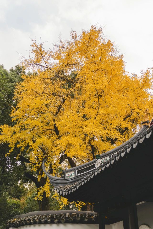 1216_150126_187.jpg 微信图片_2024-12-16_135305_137.png